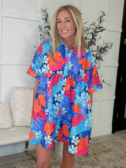 Mother Nature's Recipes Collared Dress in Blue