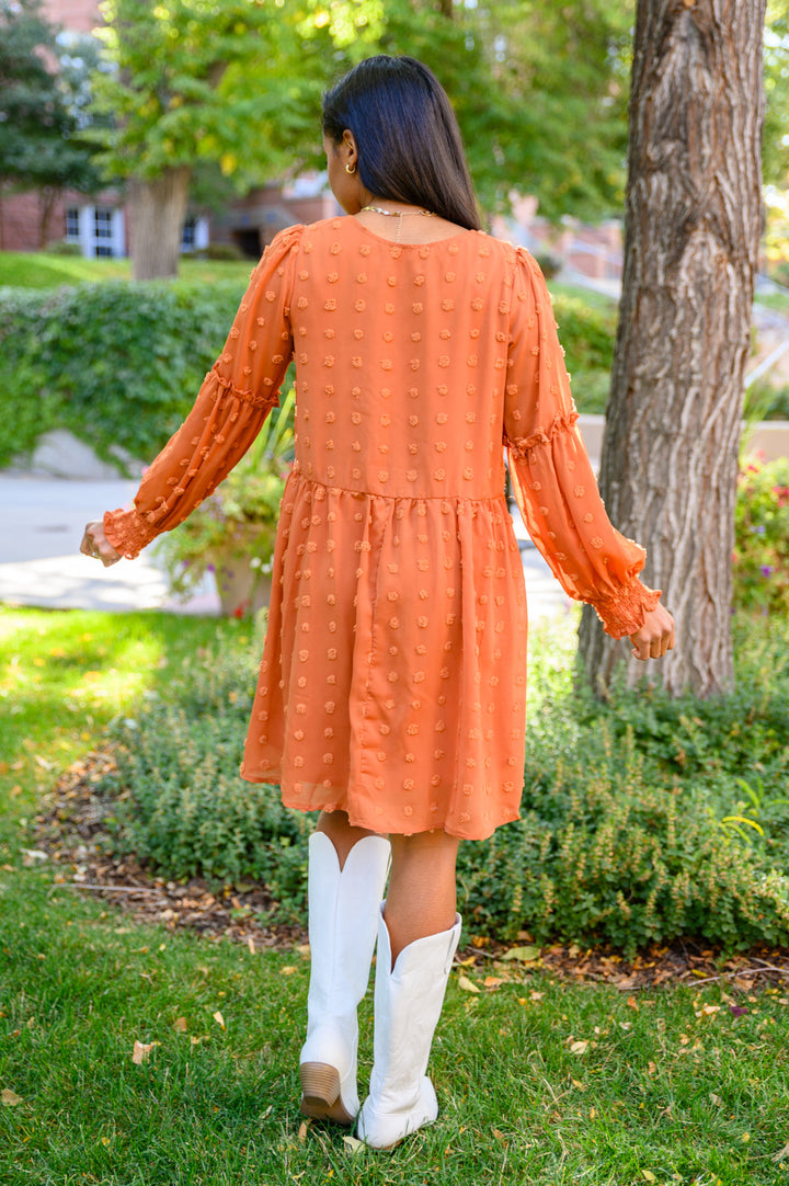 Special Feeling Swiss Dot Dress In Rust!