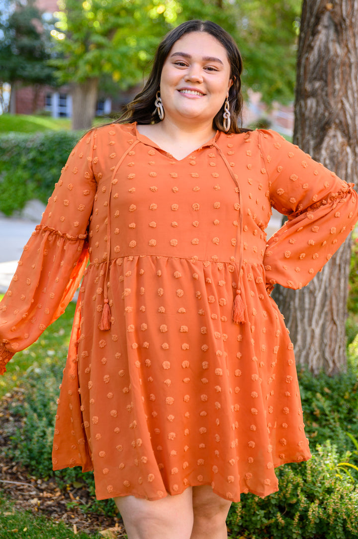 Special Feeling Swiss Dot Dress In Rust!