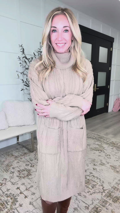Bundled Beauty Turtleneck Sweater Dress