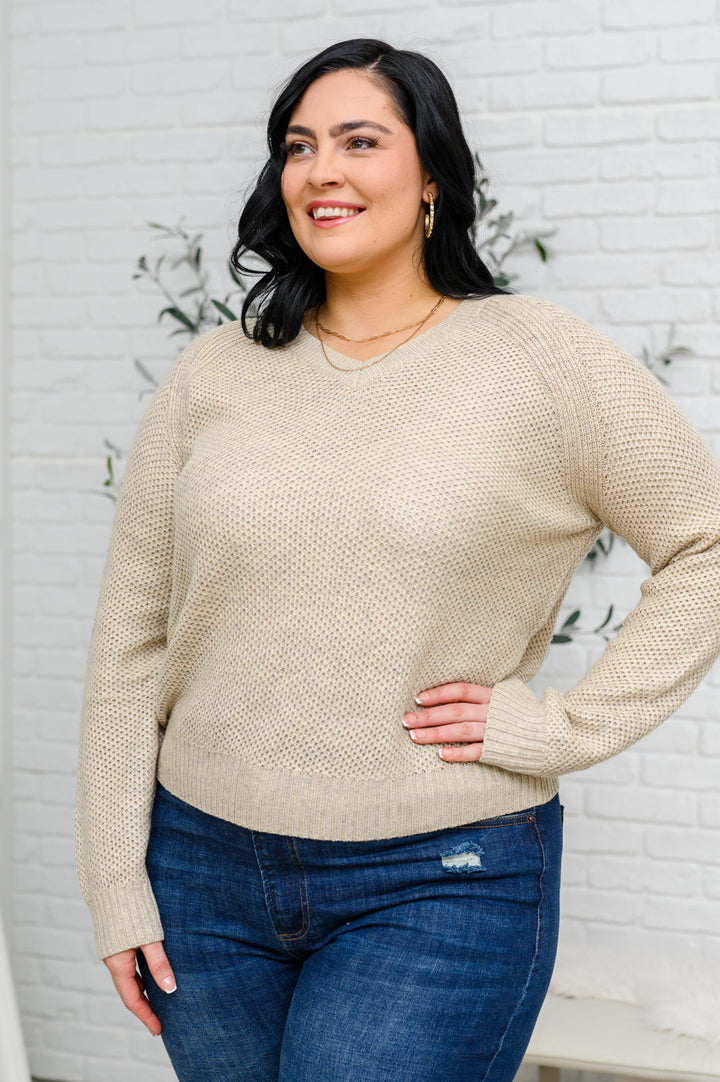 Chai Latte V-Neck Sweater in Oatmeal